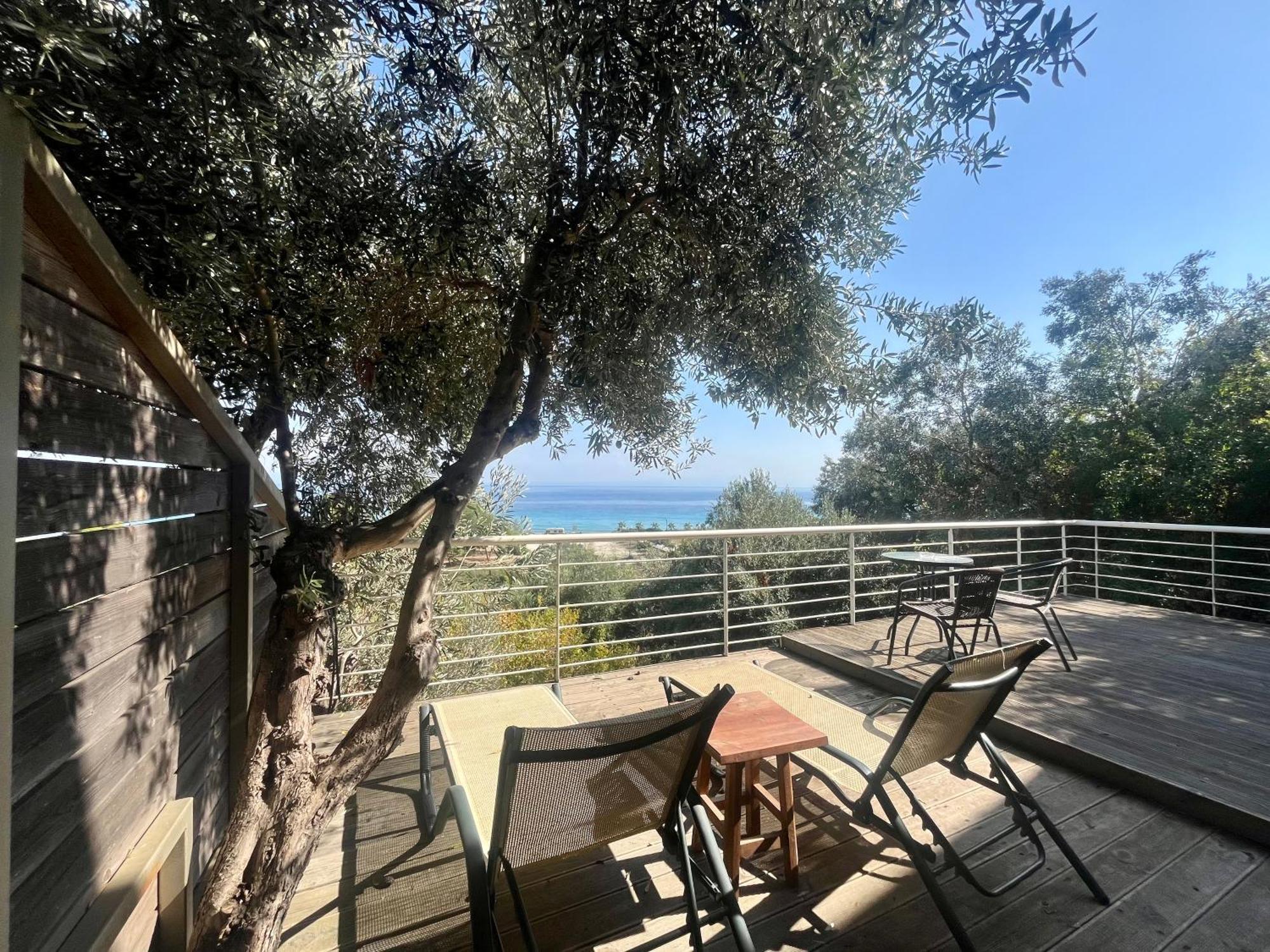 The Beach House - Apartments & Studios (Adults Only) Афитос Экстерьер фото