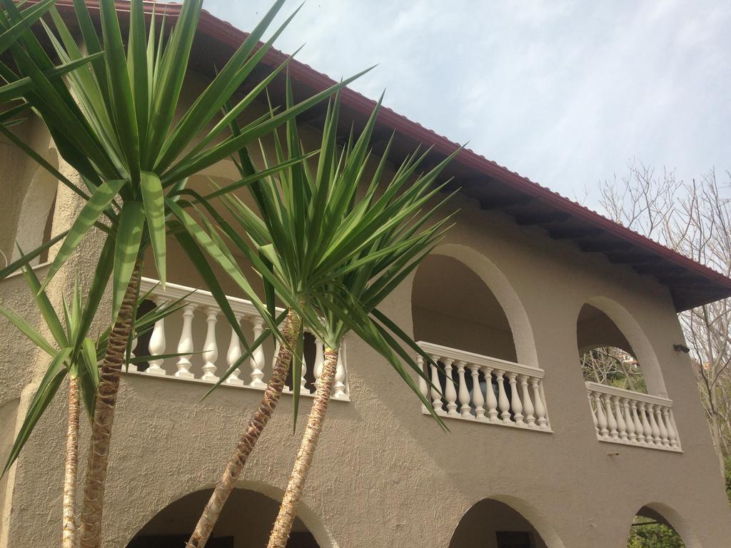 The Beach House - Apartments & Studios (Adults Only) Афитос Экстерьер фото